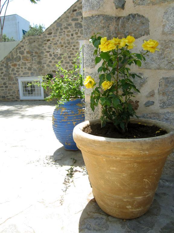 Kiki'S Houses Vlichos İdra Dış mekan fotoğraf